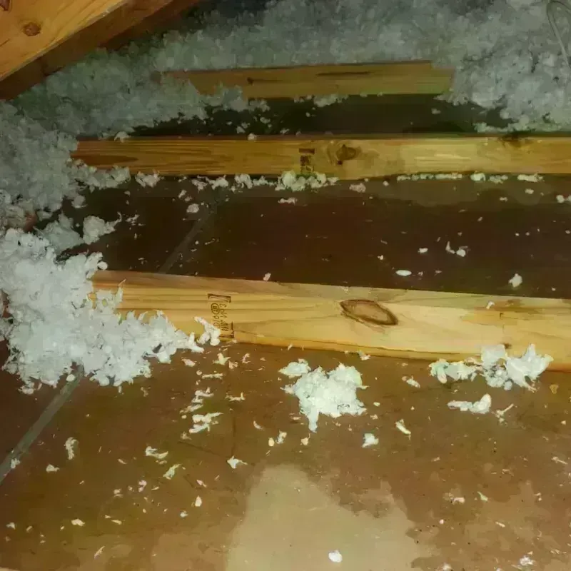 Attic Water Damage in Blossom, TX